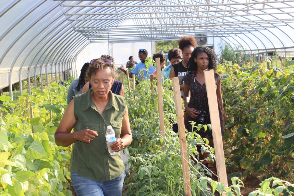Susan Miller in greenhouse