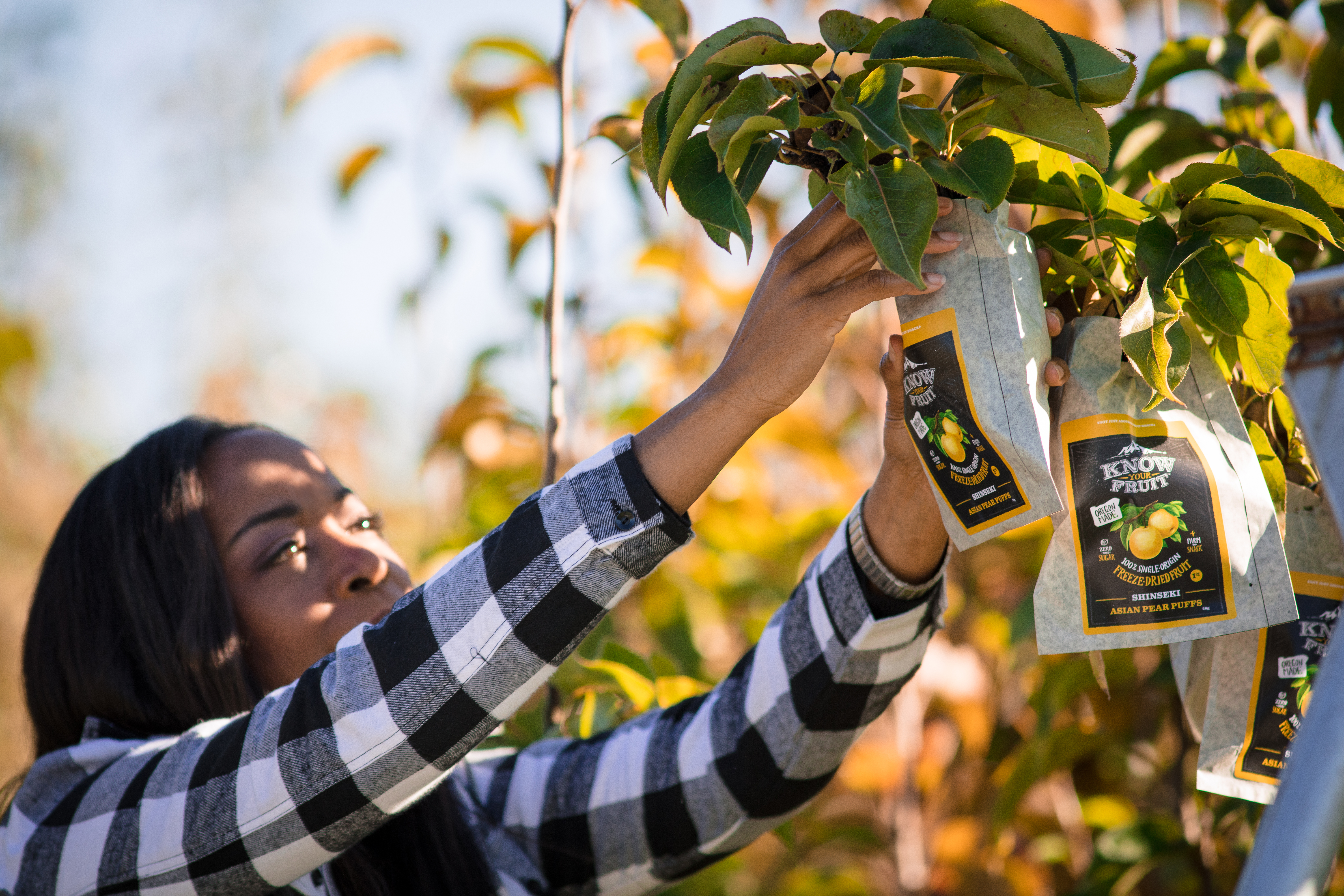 Know Your Fruit Image