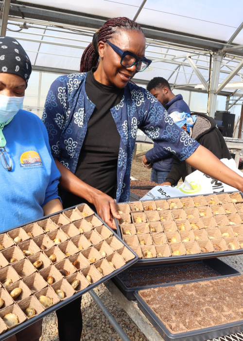 Dr. Fielding working