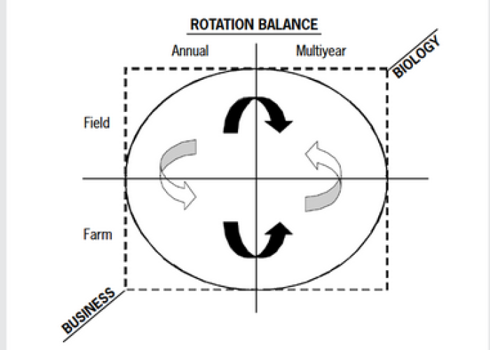 rotation balance