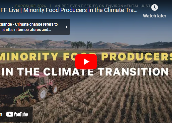 Mority Food Producers News Banner